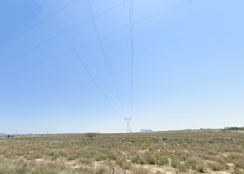 La senda de los escarabajos