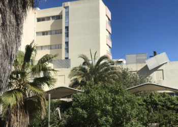 El Sidi Saler, un rey caído