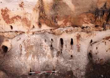 Descubren en la Cueva Dones el mayor conjunto de arte paleolítico del litoral mediterráneo oriental de la Península