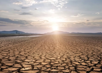 Un equipo de la UPV investiga cómo mejorar la gestión de las sequías y reducir el impacto de las olas de calor en la ciudad de València