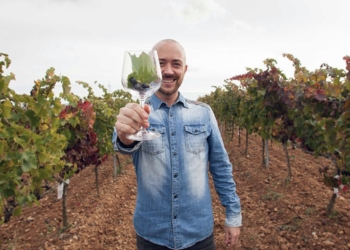 La UV participa en la secuenciación completa del genoma de la vid