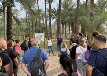 Se reanudan las visitas guiadas al Centro de Interpretación del Palmeral de Orihuela