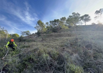 Medio Ambiente actúa en el perímetro norte y este de Loma Badá para prevenir incendios
