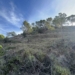 Medio Ambiente actúa en el perímetro norte y este de Loma Badá para prevenir incendios