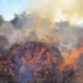 La Generalitat desaconseja el uso del fuego para la eliminación de restos agrícolas por el elevado riesgo de incendios