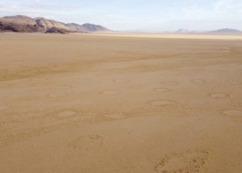 La distribución global de los círculos de hadas deja de ser un misterio