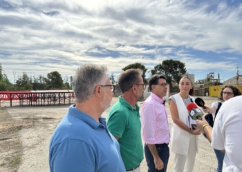 San Vicente estrena este año un Punto Violeta con motivo del Mig Any