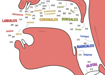 Los lenguajes a golpe de diapasón