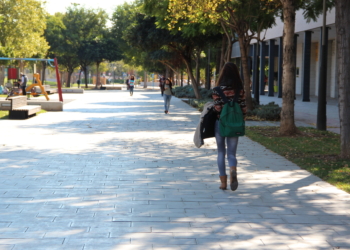 San Vicente destina más de 200.000 euros a la mejora de las zonas verdes y el sistema de riego de la avenida Vicente Savall