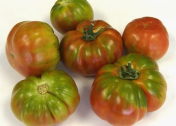 El mercado de los mil orígenes