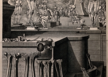 Pensamientos a la estela del Gran Cometa