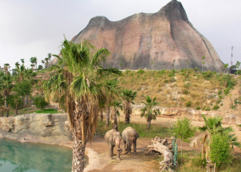 Los acotados reinos de la fantasía