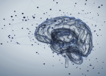 Tres universidades estarán en la XV Semana de la Ciencia de Torrevieja