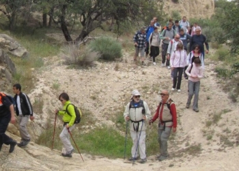 Naturaleza mutxamelera paso a paso