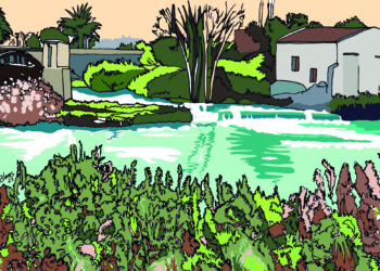 Formentera del Segura, conservas, miel y jaleas