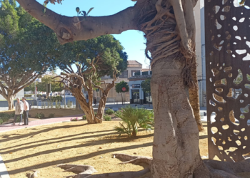 San Vicente comienza a reformar sus plazas públicas