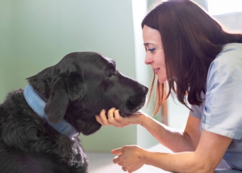 «Pagaría por trabajar como veterinaria»