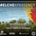 Turismo promocionará el Palmeral de Elche y su patrimonio cultural en Lisboa
