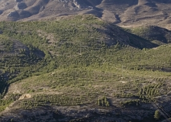 Elda realiza labores de prevención de incendios en la pista forestal La Lobera