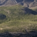 Elda realiza labores de prevención de incendios en la pista forestal La Lobera