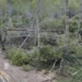 El Ayuntamiento ejecuta acciones contra incendios en diversos puntos de Altea