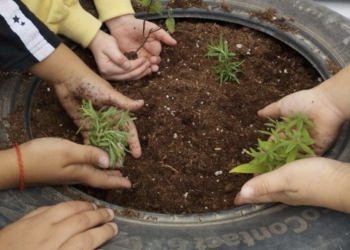 Medio Ambiente fomenta los huertos escolares en los centros educativos de Santa Pola