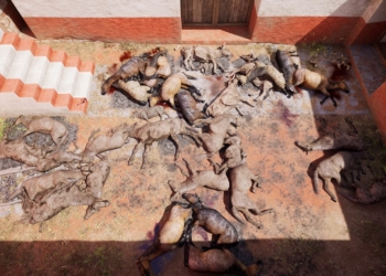 Desvelan el ritual del mayor sacrificio de animales en el Mediterráneo occidental