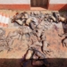 Desvelan el ritual del mayor sacrificio de animales en el Mediterráneo occidental