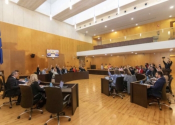 El pleno da viabilidad a una nueva campaña del bono consumo