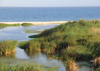 Las fuentes, el agua, la vida y el río