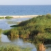 Las fuentes, el agua, la vida y el río