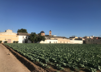 Borbotó, donde se cuece el arroz con ‘fesols i naps’