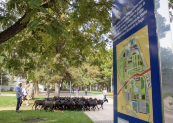 La Unesco declara la trashumancia como Patrimonio Cultural Inmaterial de la Humanidad