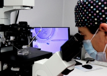 El Hospital La Fe logra tres embarazos con reproducción asistida en mujeres con esclerosis múltiple