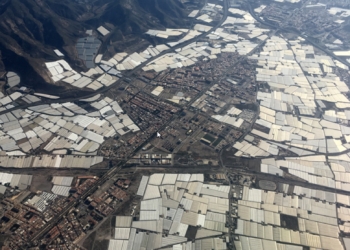 Un estudio determina que la agricultura intensiva a gran escala es una amenaza para las zonas áridas