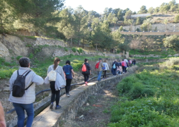 «Pasear tiene beneficios tanto físicos, como mentales y sociales»