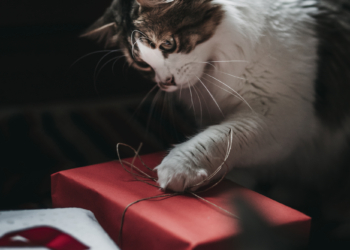 Variedad de regalos ‘Made in València’ para estas Navidades