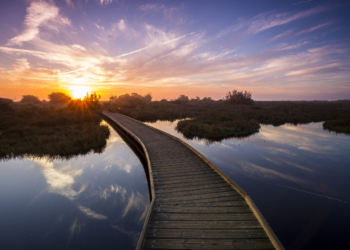Entre humedales y arrozales