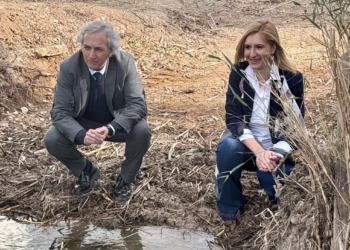 El nuevo Plan Rector de Uso y Gestión de L’Albufera se aprobará esta legislatura