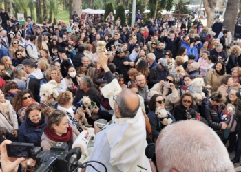 Orihuela se vuelca con la festividad de San Antón