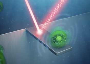 Un equipo del CSIC demuestra que las células humanas ‘vibran’