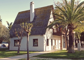 OPTIFANGS de la UMH aprovechará los nutrientes de los lodos de depuradora para la agricultura mediante la Inteligencia Artificial