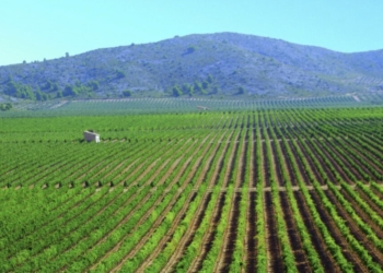 Villena acude a Fitur 2024 como capital del turismo enológico del Mediterráneo