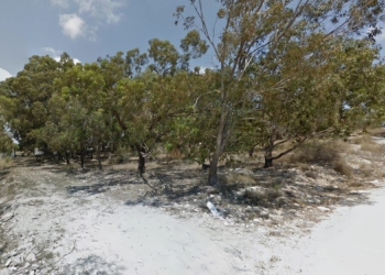 No solo de sal viven nuestros campos