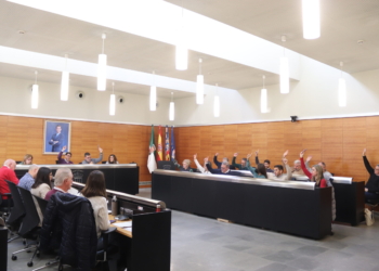 San Vicente aprueba el mayor presupuesto de su historia