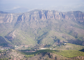 Pulmón verde de València