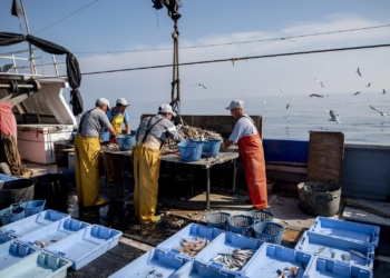 «Si no lo solucionamos en poco tiempo, vamos a comer basura»