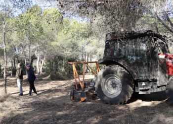Benidorm inicia las actuaciones de prevención contra incendios en el parque El Moralet