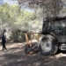 Benidorm inicia las actuaciones de prevención contra incendios en el parque El Moralet