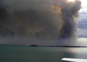 El CIDE analiza el impacto de los incendios forestales en los ecosistemas marinos